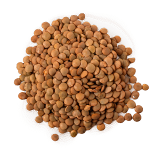 LENTEJON A GRANEL X250GR